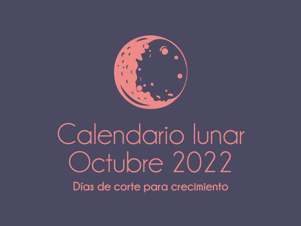 Calendario lunar octubre 2022, días de corte para crecimiento